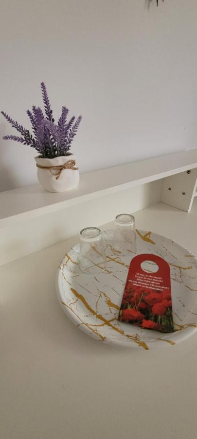 Casa Domneasca Hotel Giurgiu Екстериор снимка