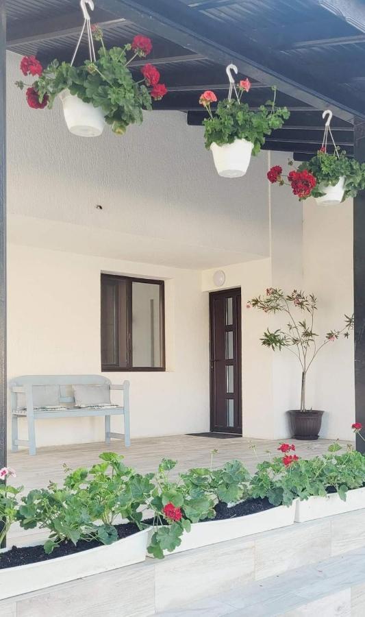 Casa Domneasca Hotel Giurgiu Екстериор снимка